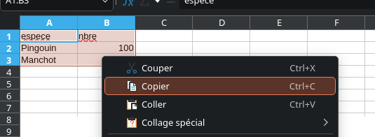 copie tableau